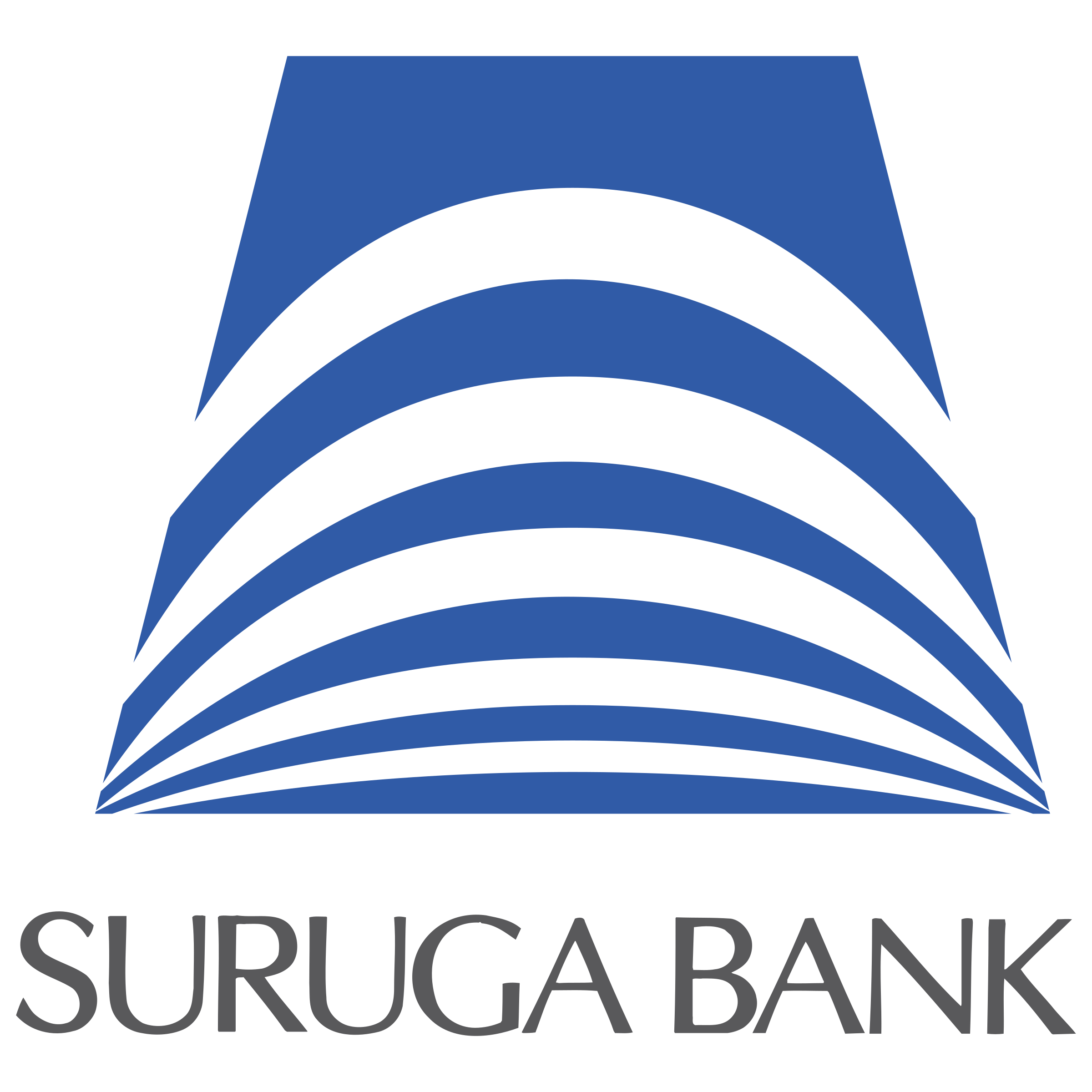 Suruga Bank
（スルガ銀行）